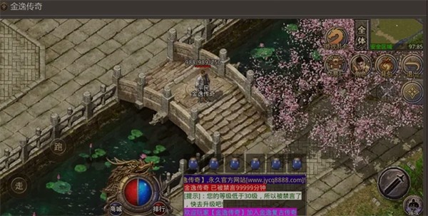 金逸传奇手机版v1.1.0(1)
