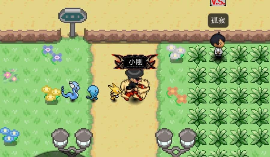 PokePlus安卓版v1.0.8(1)