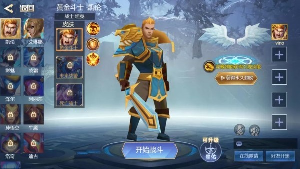 王者精英5v5全部皮肤免广告v5.0(3)