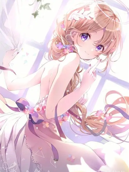 acgNya动漫安卓免费版