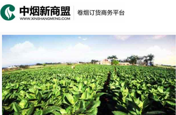 新商盟烟草订烟登录下载安装最新版2024版