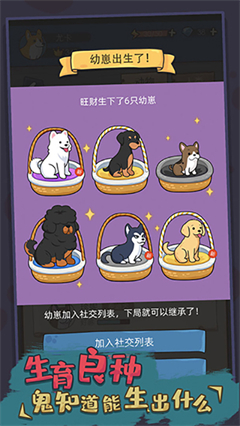 狗生模拟器内置作弊菜单v1.0.12(2)