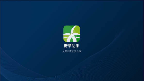 野草助手电视版下载安装包