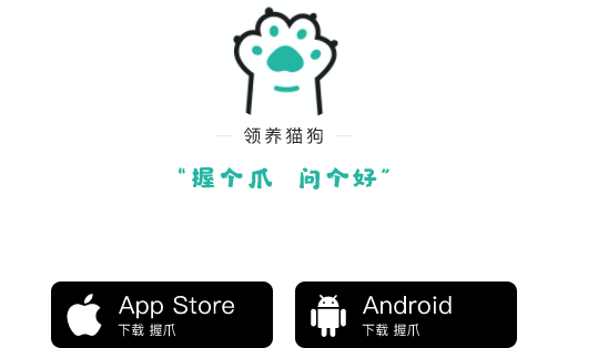 握爪APP最新版本