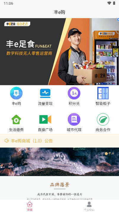 丰e购app手机版
