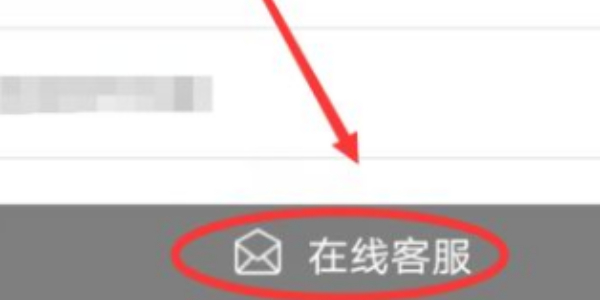 战双帕弥什手游官方正版