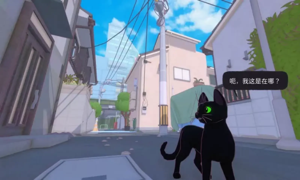 小猫咪大城市手机版