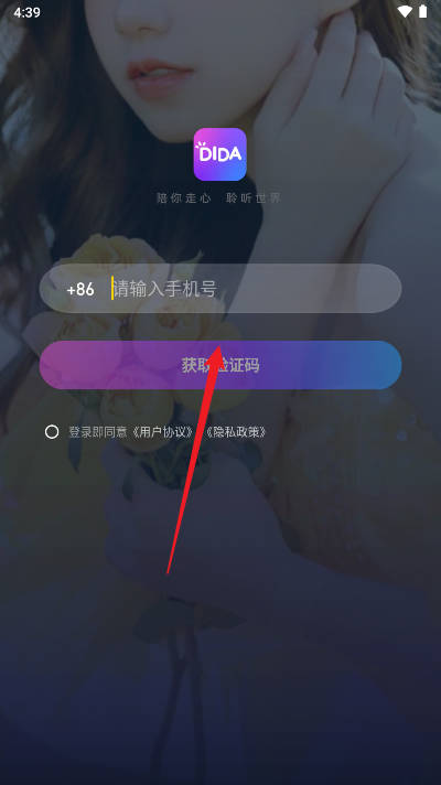 didalive交友软件