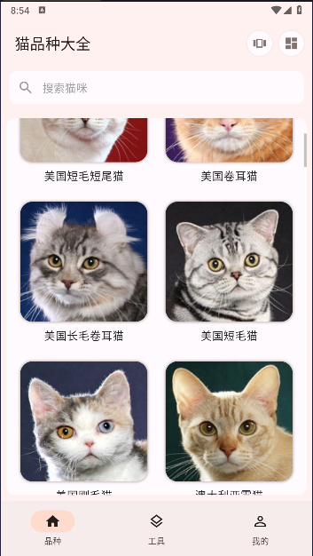 猫品种大全软件下载安装最新