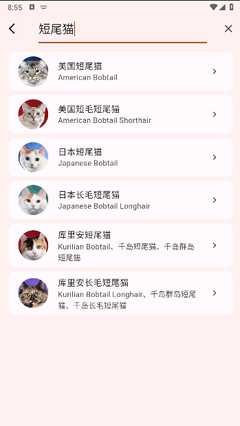 猫品种大全软件下载安装最新