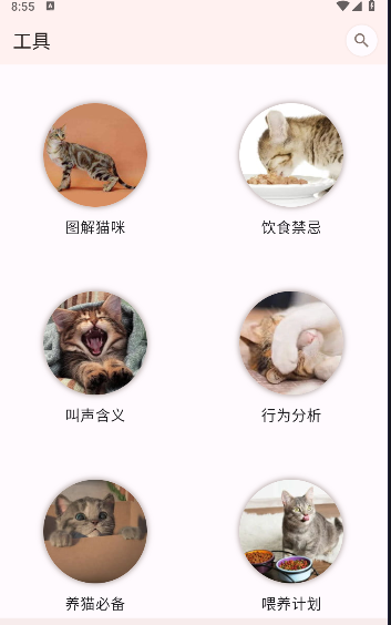 猫品种大全软件下载安装最新