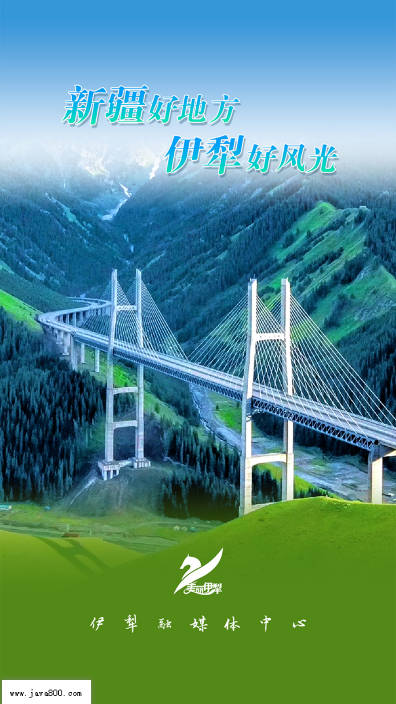 美丽伊犁app安卓版