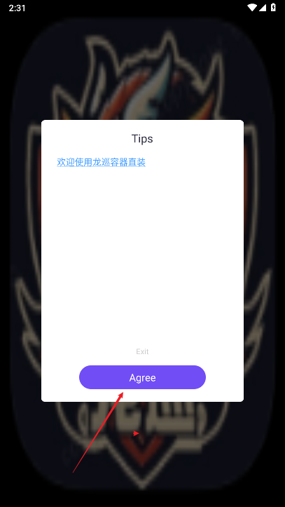 和平精英龙巡直装免卡密版