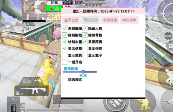 和平精英虚幻直装科技免卡密版
