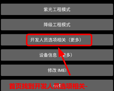 华强北手表开发工具2025最新版本