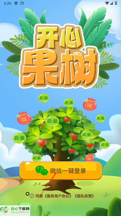开心果树首码平台