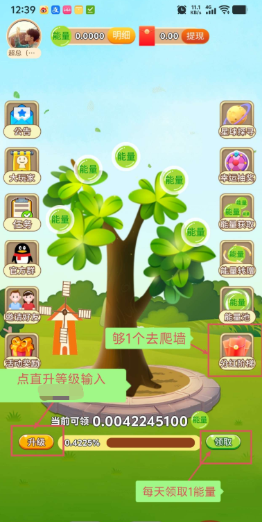 开心果树首码平台