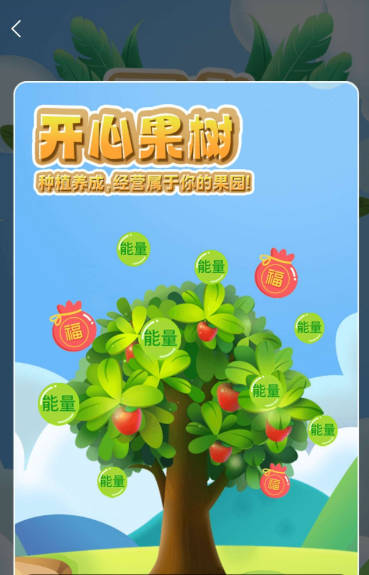 开心果树首码平台