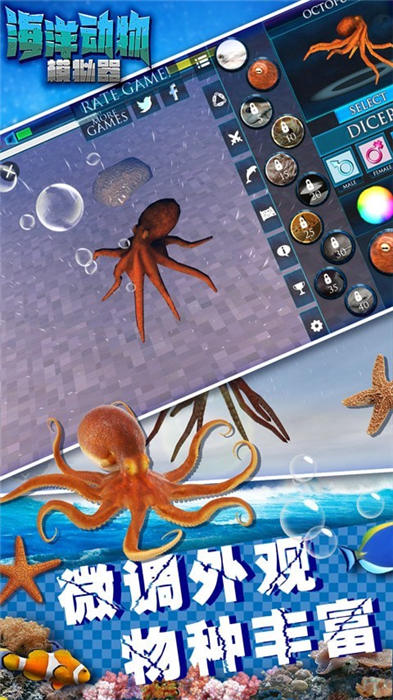 海洋动物模拟器v1.2(2)