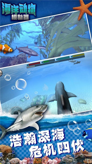 海洋动物模拟器v1.2(3)