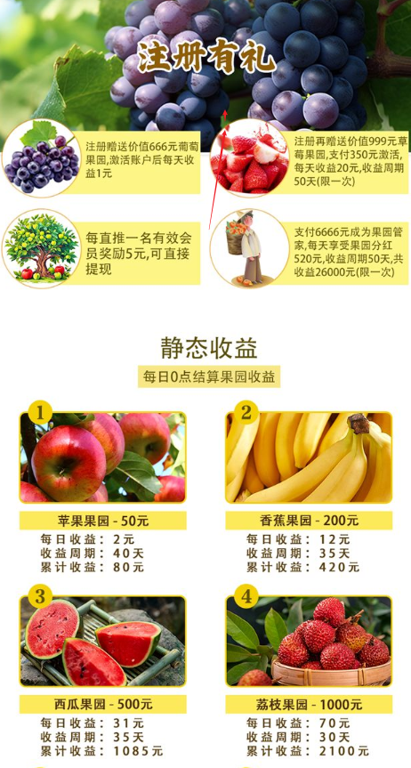创享果园app最新版