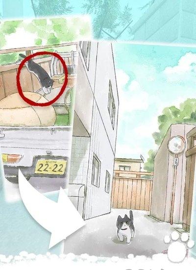 迷路的小猫逃离小胡同v1.0(3)
