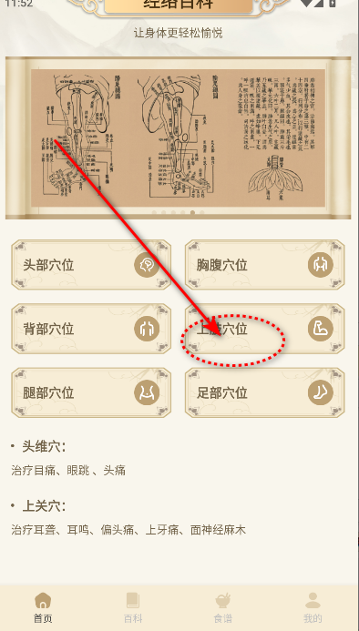 中医经络穴位典籍APP解锁去广告版