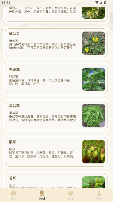 中医经络穴位典籍APP解锁去广告版