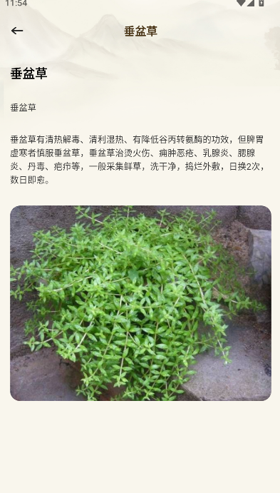 中医经络穴位典籍APP解锁去广告版