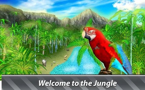 丛林鹦鹉模拟器v1.3.1(3)