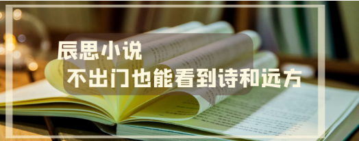 辰思小说APP