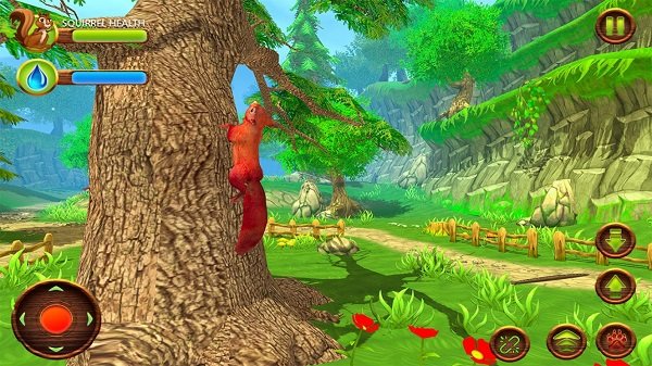 野生松鼠模拟v1.0(3)