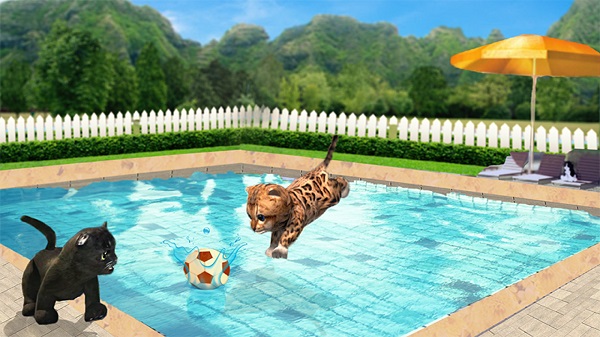捣蛋猫模拟器v1.0(1)