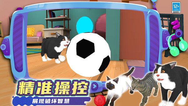 奇妙猫猫王国v0.250813.147(1)
