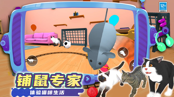 奇妙猫猫王国v0.250813.147(4)