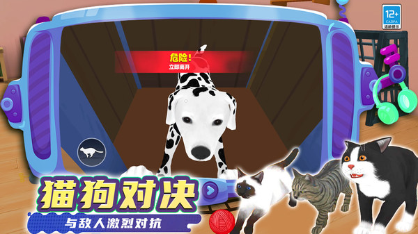 奇妙猫猫王国v0.250813.147(2)