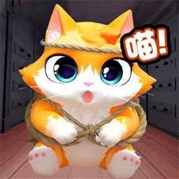 奶奶的小猫