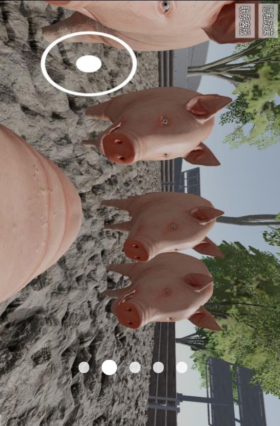小猪开派对v1.0(3)