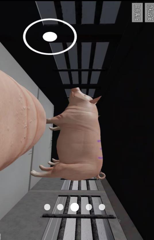 小猪开派对v1.0(2)