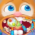 宠物美妆大师
