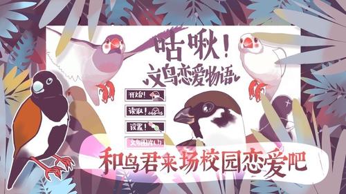 咕啾文鸟恋爱物语v1.0.0(3)