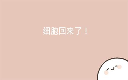 我的49天与细胞v1.2.1(1)
