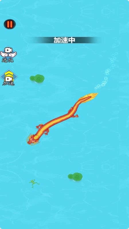 我的大神龙v1.0.0(3)