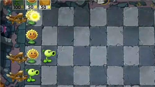 植物大战僵尸wenhuav1.0.7(4)