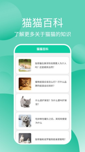 猫猫交流器v3.3.7(2)