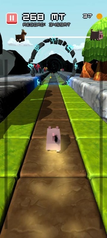 小猪狂奔v1.6.2(1)