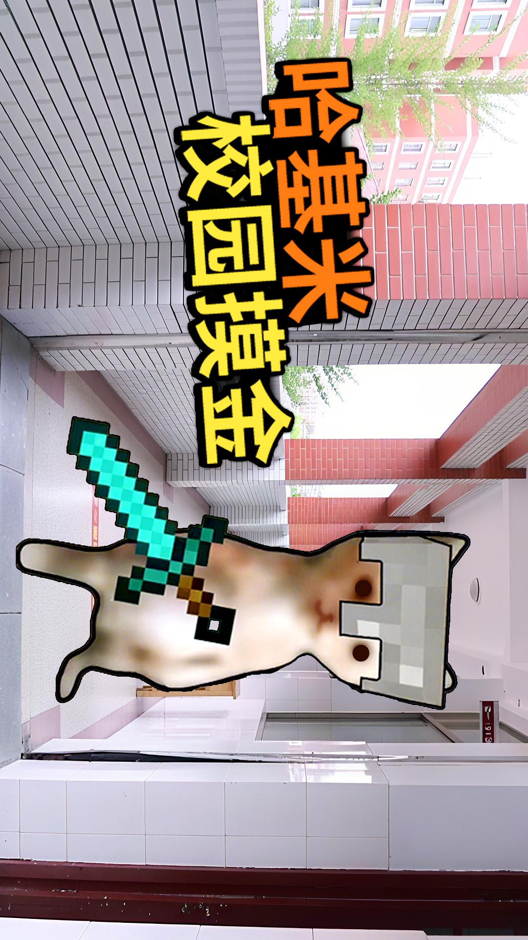 高中部摸金v1.0(4)
