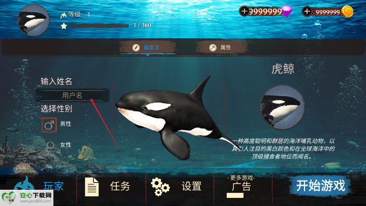 虎鲸模拟器最新版