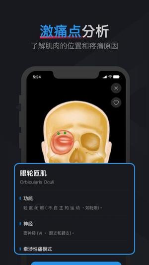 肌肉激痛点图谱v1.2(4)