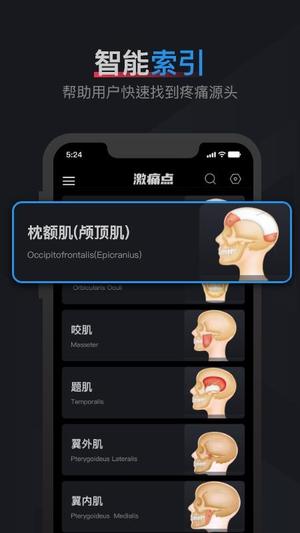 肌肉激痛点图谱v1.2(3)